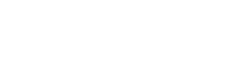 Zinger